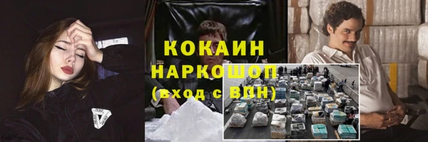 мдпв Дмитриев