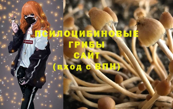 каннабис Дмитров