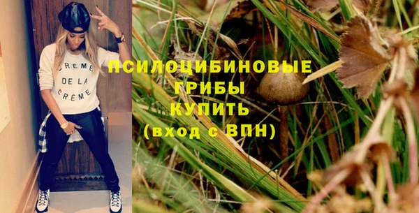 мдпв Дмитриев