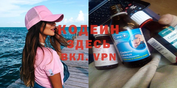 мдпв Дмитриев