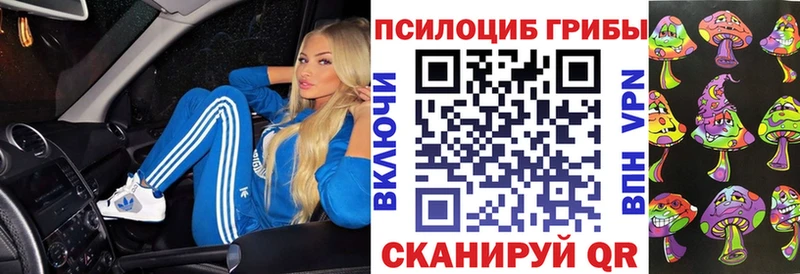 Галлюциногенные грибы Magic Shrooms  Купить где  Курганинск 